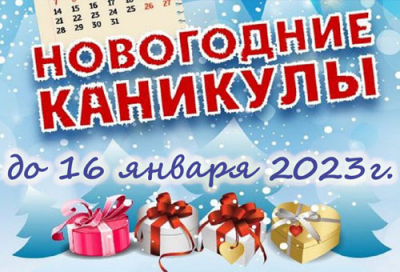 НОВОГОДНИЕ КАНИКУЛЫ
