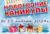 НОВОГОДНИЕ КАНИКУЛЫ
